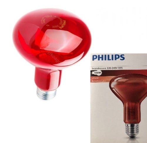 100W Philips  z opakowaniem.jpg